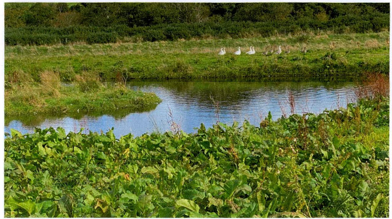 photograph from page 6