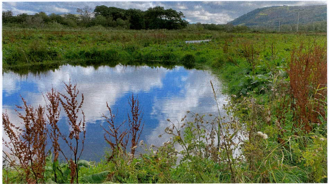 photograph from page 7