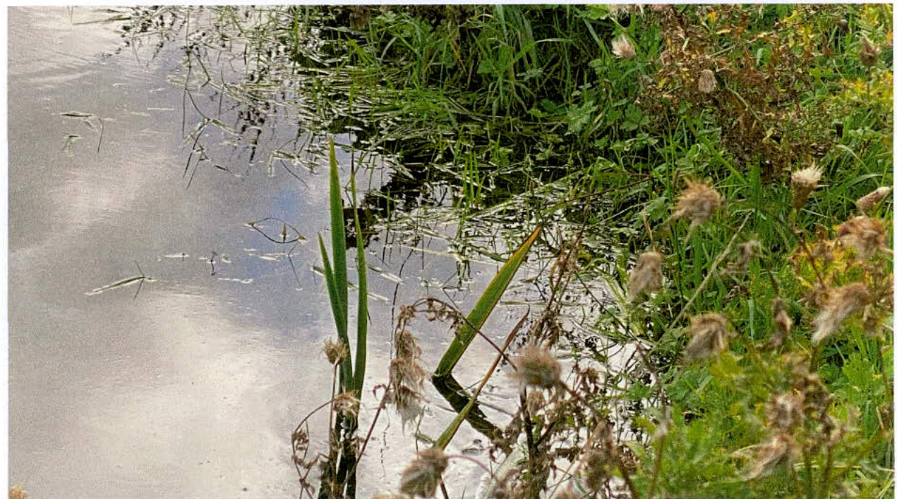 photograph from page 7