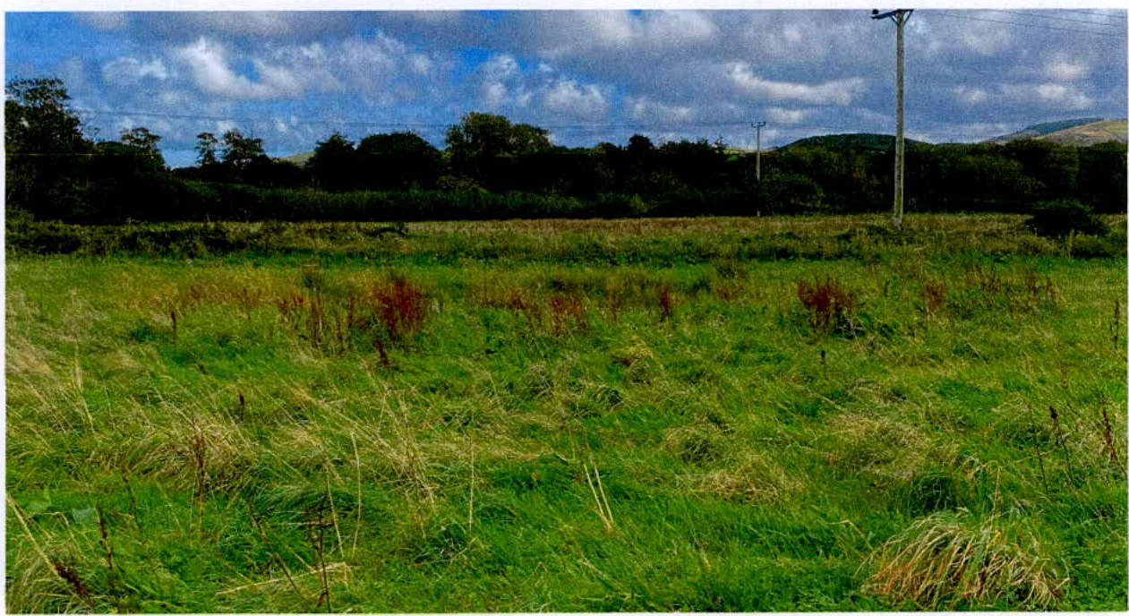 photograph from page 8