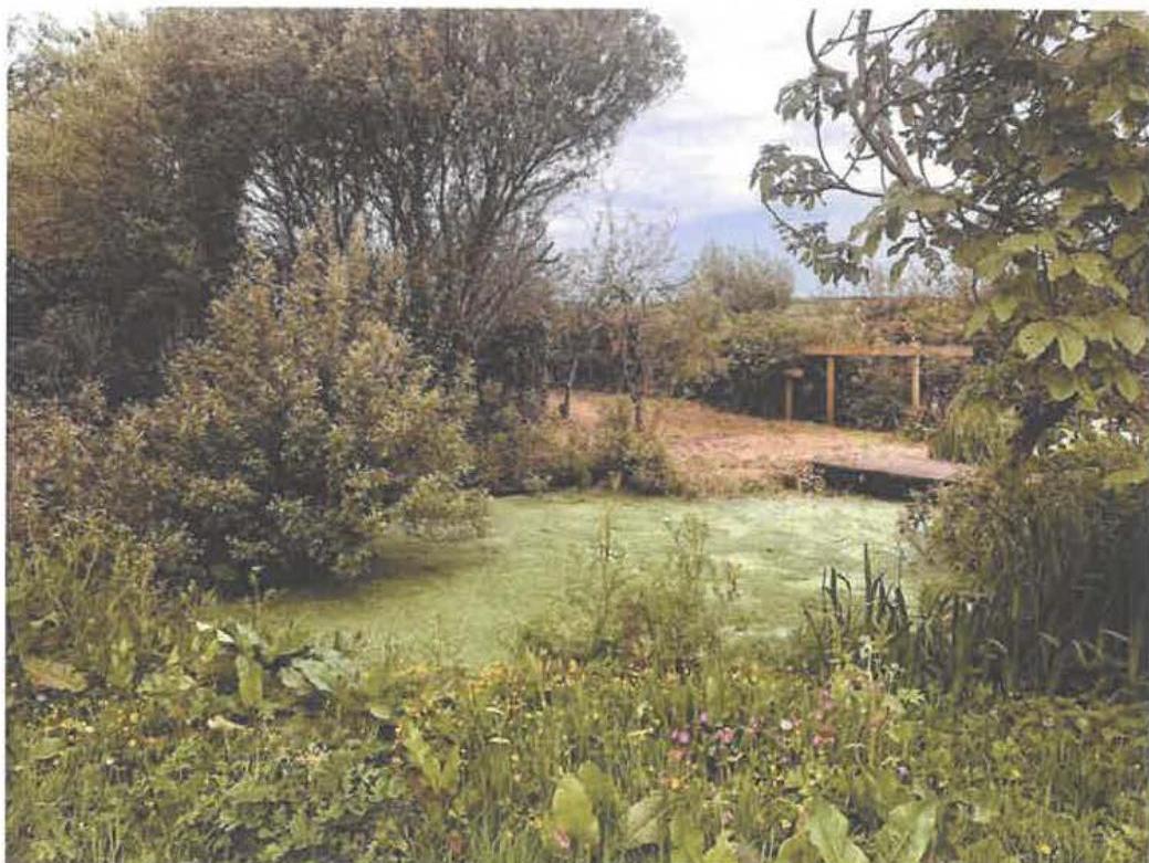 photograph from page 17