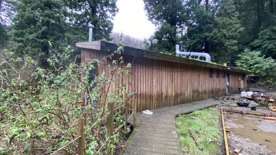 photograph from page 3