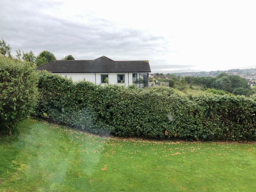 A photograph of a white single-story house with a dark tiled roof, partially obscured by a tall green hedge in the foreground, with a grassy lawn in front.