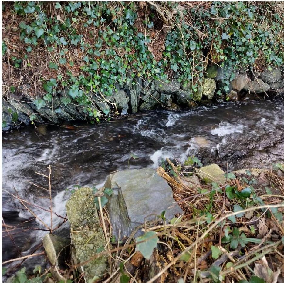 photograph from page 1