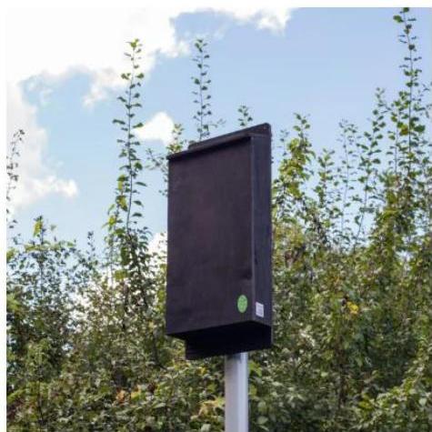 photograph from page 12