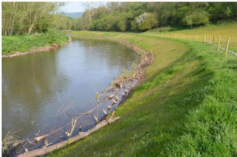 photograph from page 13