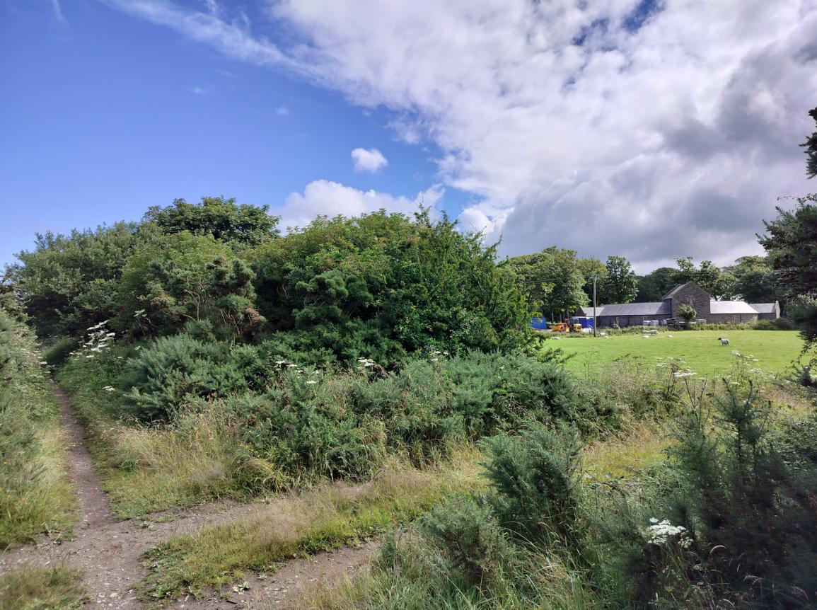 photograph from page 11