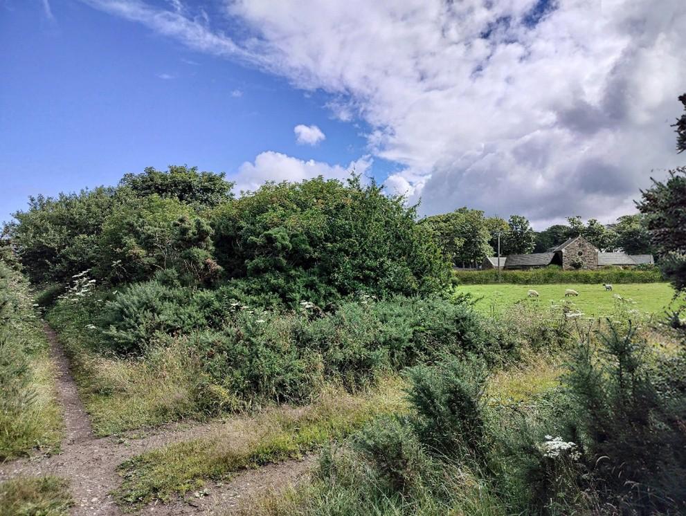 photograph from page 11