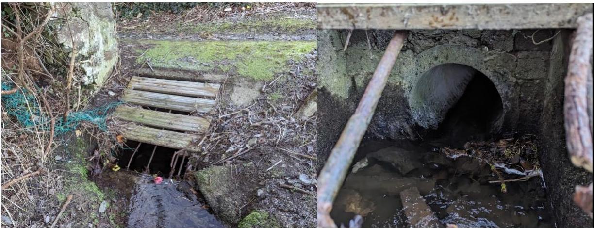 photograph from page 11