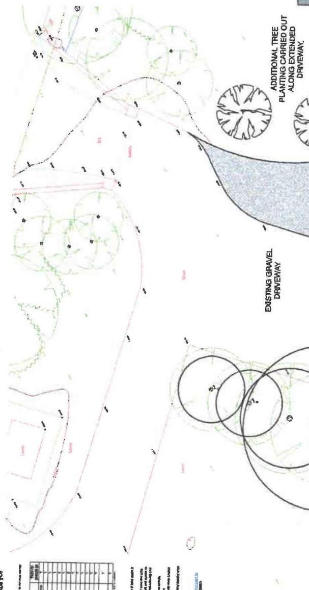 A technical landscape drawing showing tree planting proposals, an existing gravel driveway, and site boundaries.