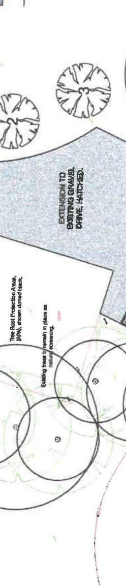 A site plan detail showing tree root protection areas and a hatched extension to an existing gravel driveway.