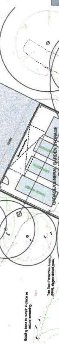 A rotated site plan showing the layout of a proposed detached garage and garden storage, including tree root protection areas and existing boundary hedges.