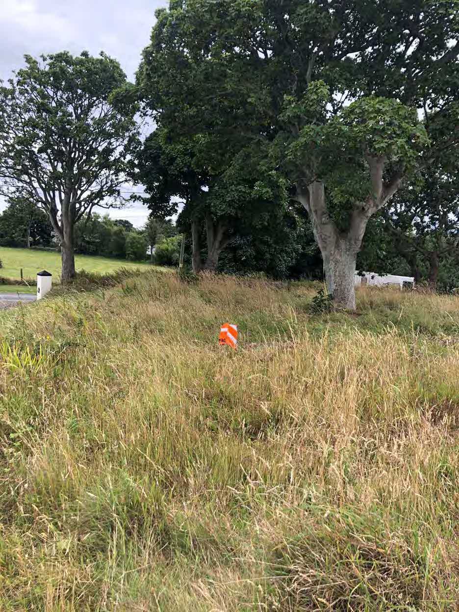 A photograph showing a grassy, overgrown plot of land with large trees in the background and an orange survey marker in the foreground.