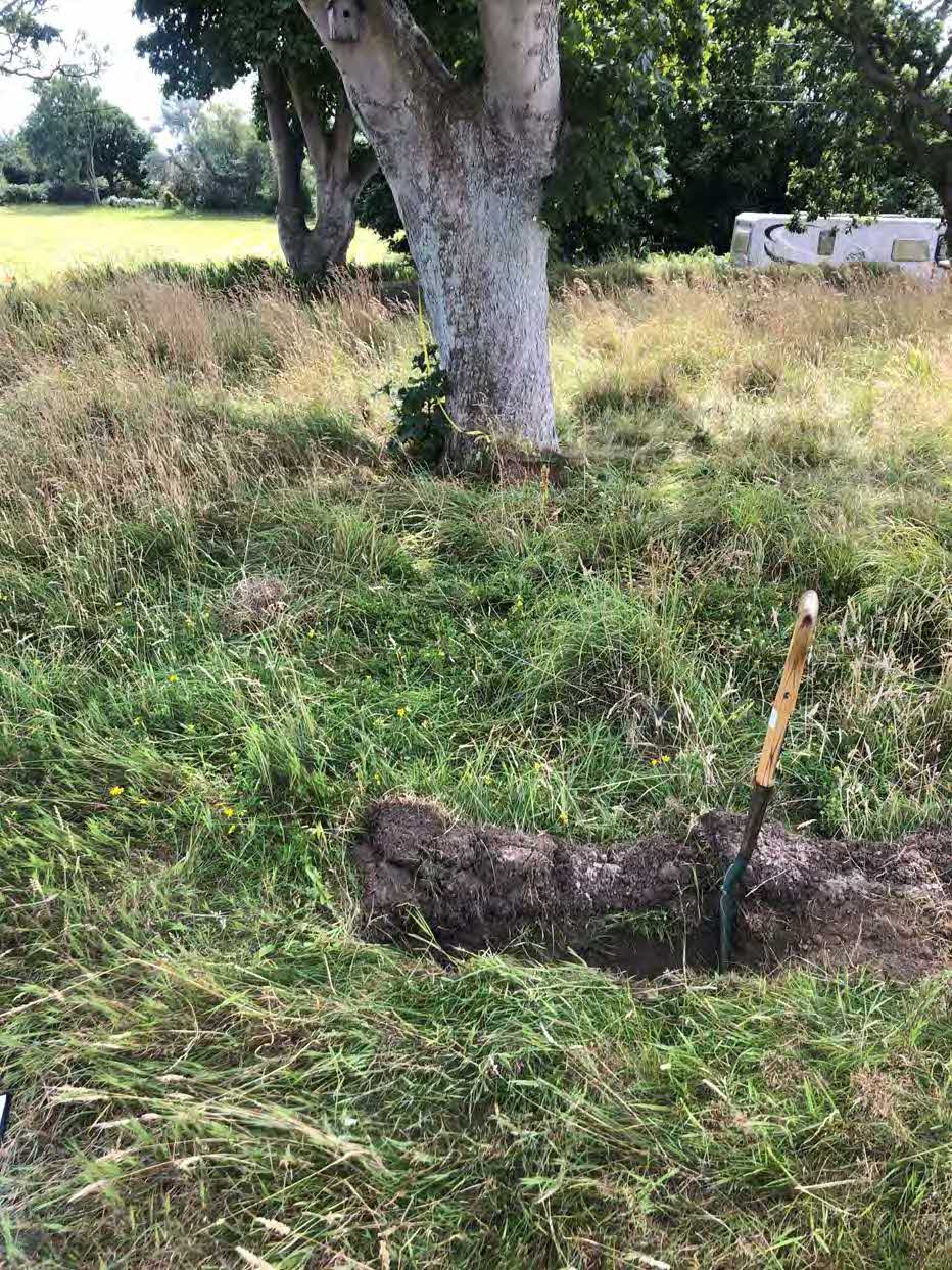 A photograph of a grassy rural site featuring a large tree and a dug trench with a shovel.