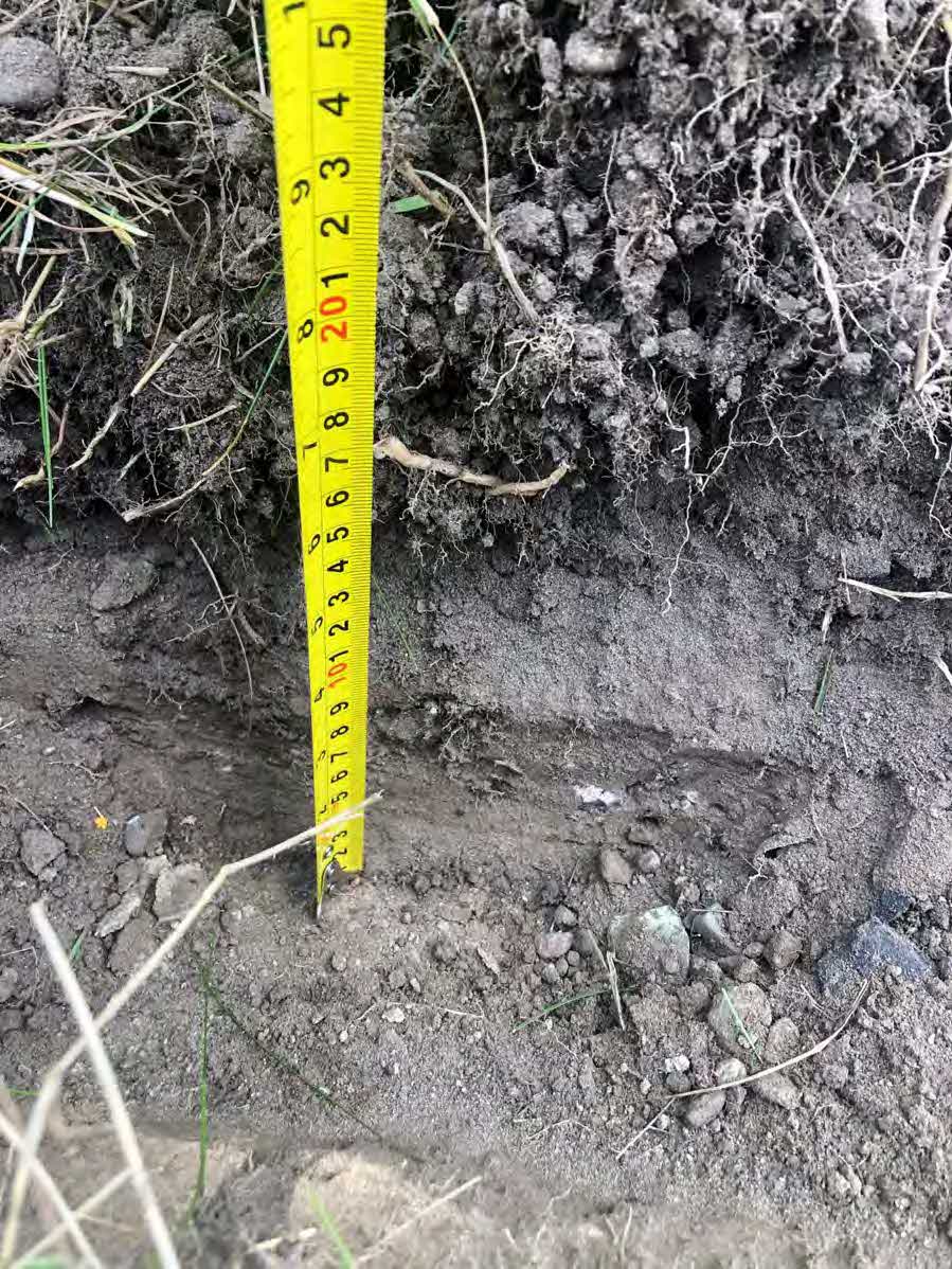 A close-up photograph showing an excavated soil trench cross-section with a yellow measuring tape indicating depth.
