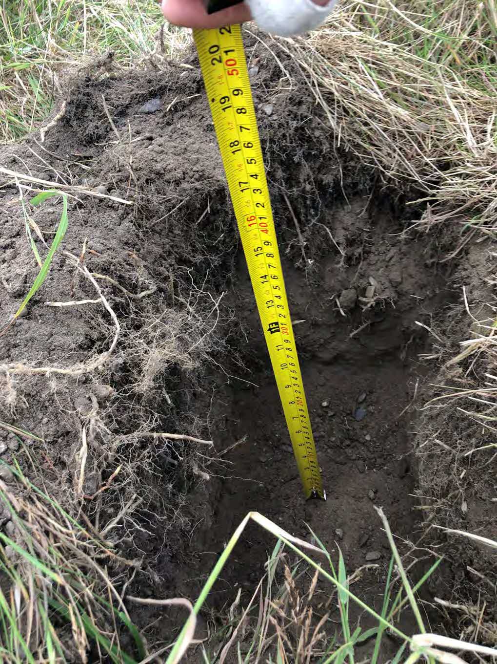 A close-up photograph showing a test pit or trial trench dug into the ground with a yellow tape measure extending into it to measure depth.