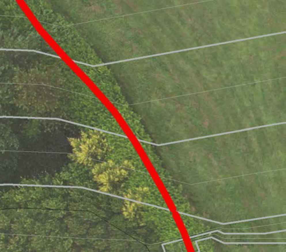 An aerial view of a grassy field and hedgerow with white boundary lines and a prominent red line overlaid, indicating site boundaries or proposed works.