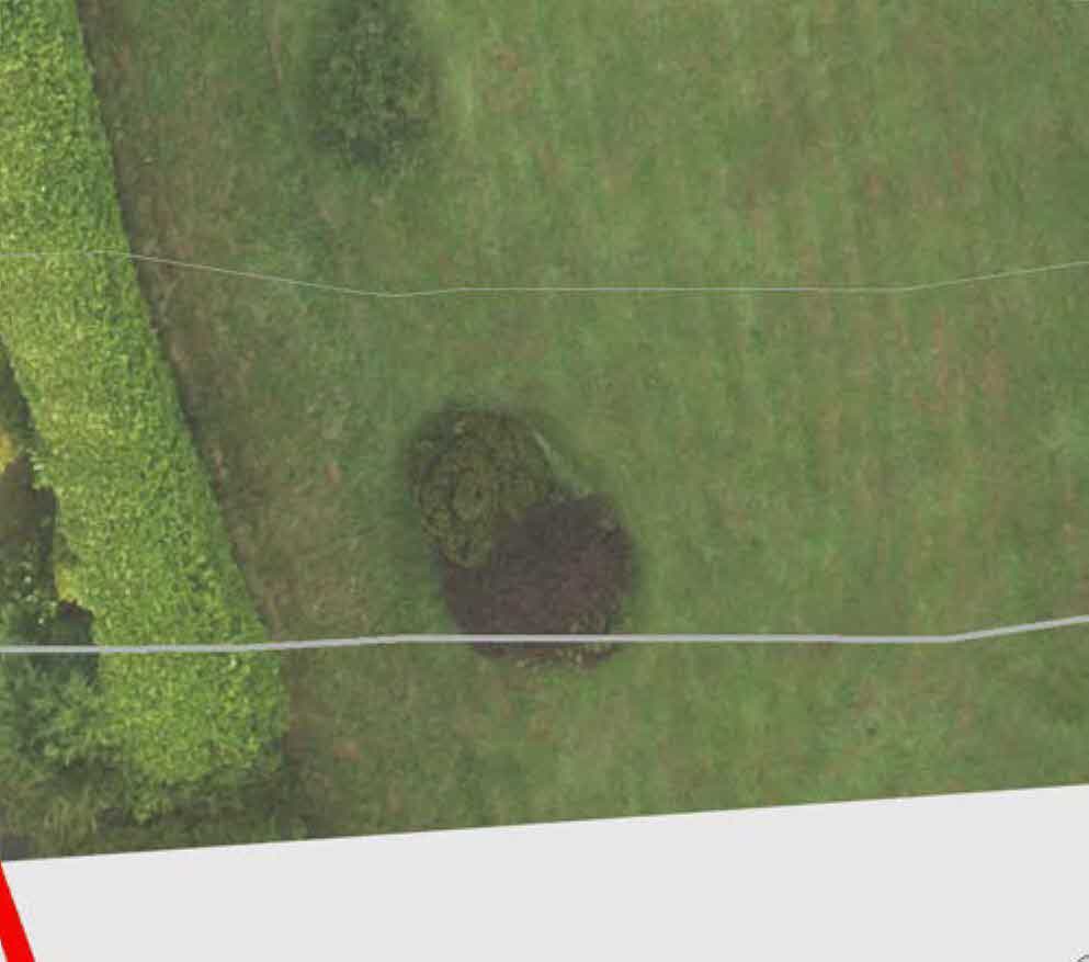 Aerial view of a grassy plot of land with hedges and trees, showing boundary lines.
