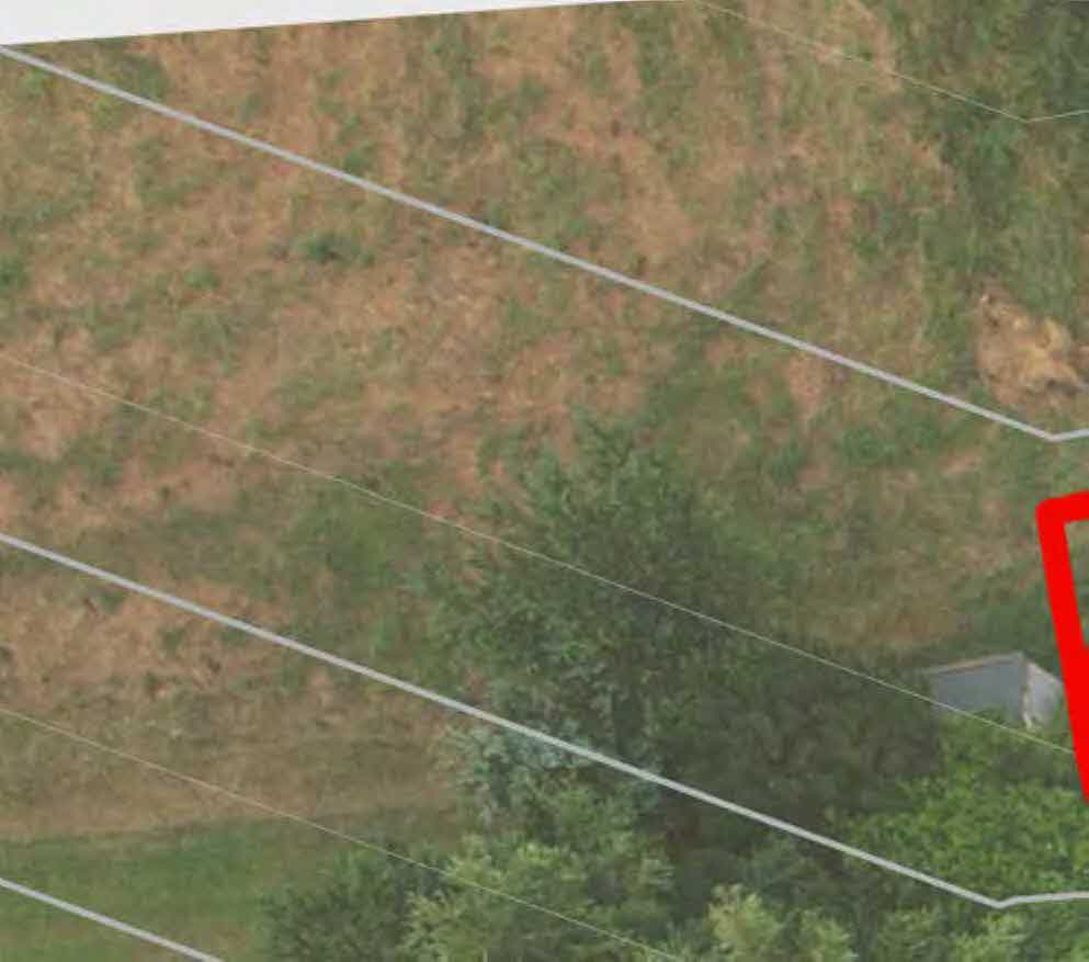 An aerial site plan showing a grassy plot with trees and a small structure, overlaid with white boundary lines and a red outline.