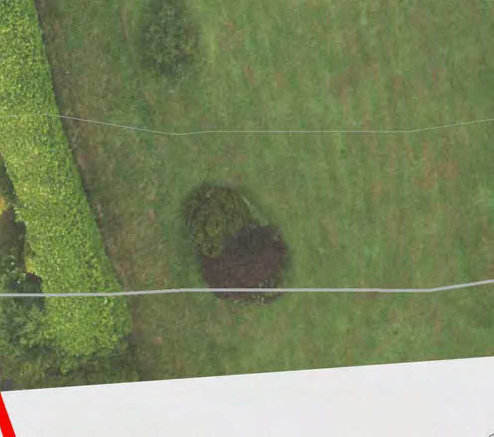 An aerial view of a grassy plot with a hedge and bushes, showing white boundary lines, likely part of a site plan.