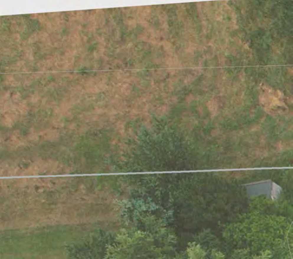 A low-resolution photograph showing a patch of grassy and muddy ground with vegetation and a small grey structure in the corner.