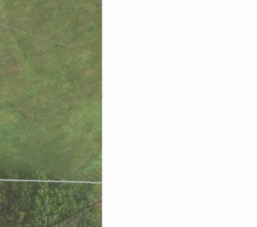 A low-resolution, cropped image showing a patch of green grass with thin white lines, likely fence wires. The texture suggests a rural or agricultural setting.