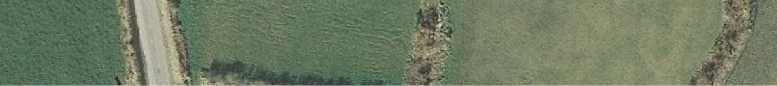 photograph from page 39