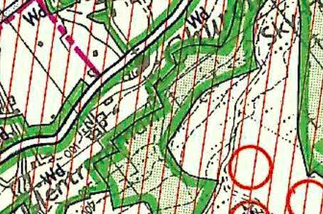 A close-up extract from a topographical map showing field boundaries, vegetation, and contour lines with red markings indicating specific areas.