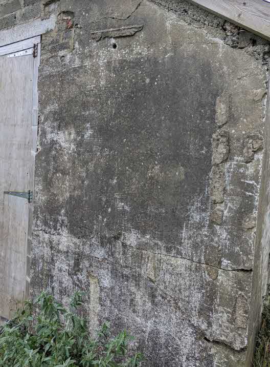A close-up photograph of the weathered exterior wall of an old stone or concrete outbuilding, featuring a wooden door and vegetation at the base.