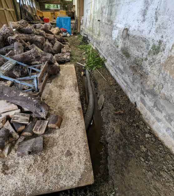 photograph from page 41