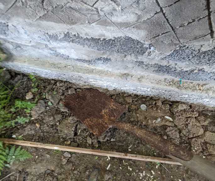 photograph from page 42