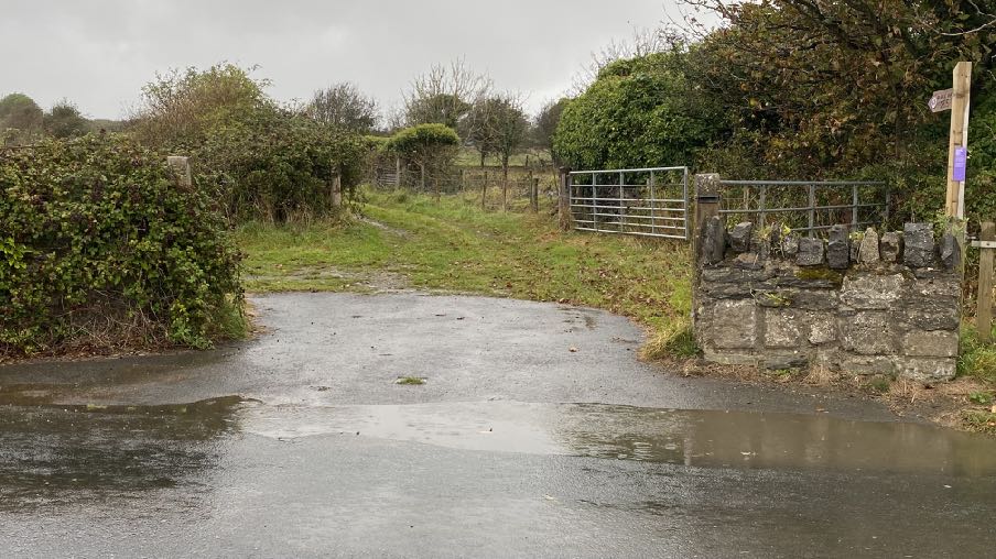 photograph from page 15