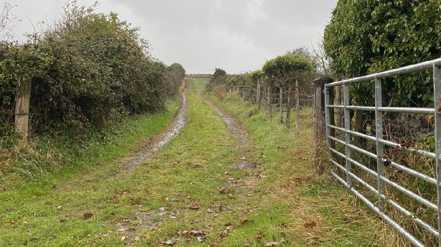 photograph from page 16