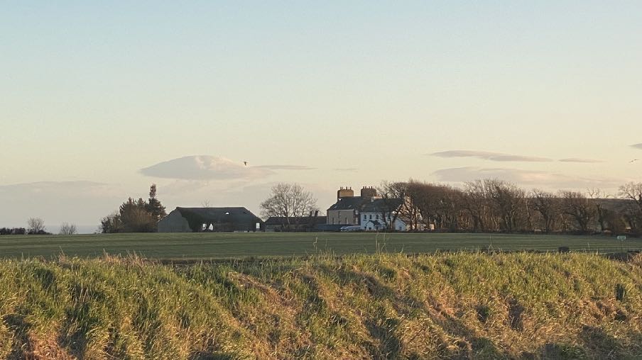 photograph from page 11