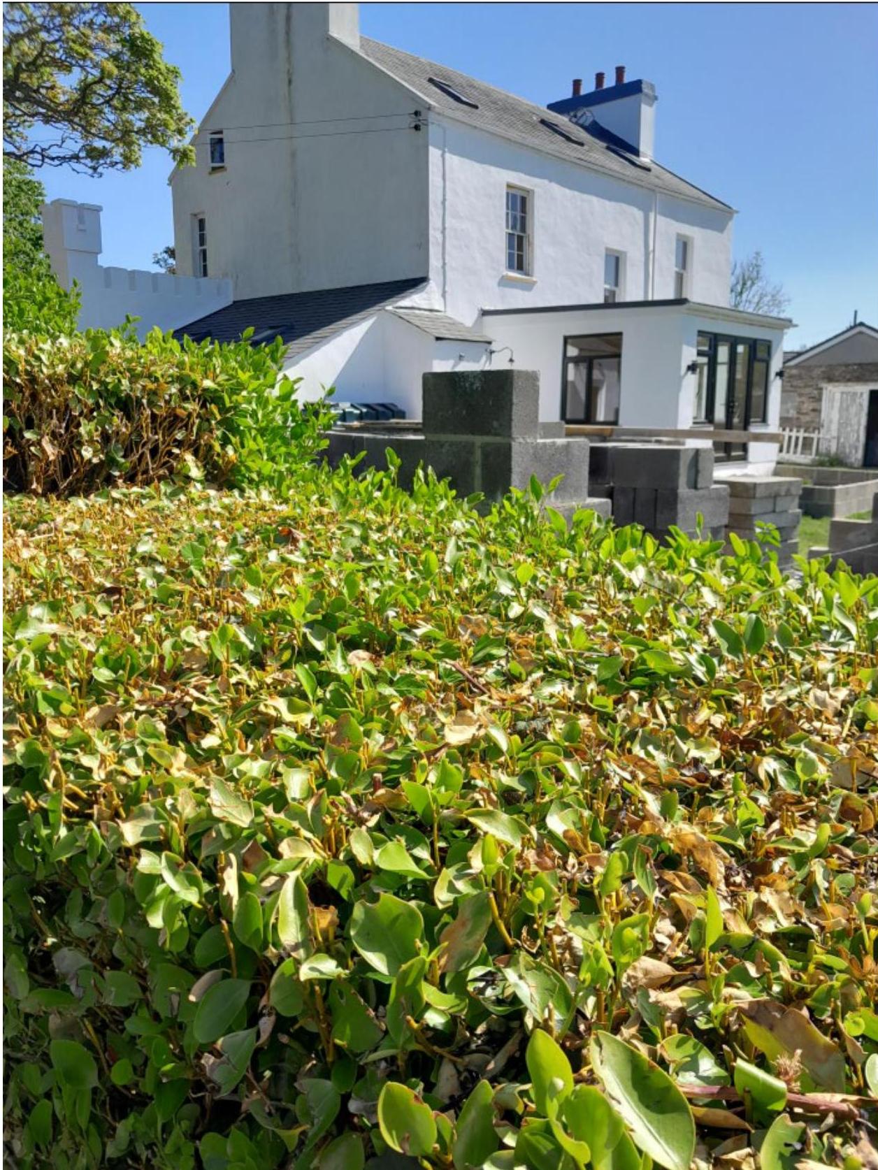 A photograph showing the rear elevation of a white two-story house with a modern extension, viewed over a dense green hedge with stacks of concrete blocks in the foreground.