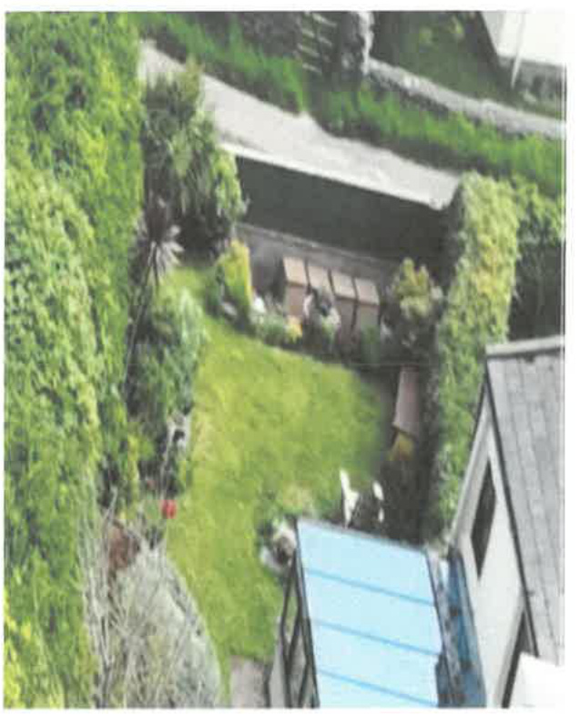 High-angle photograph of a residential garden featuring a lawn bordered by tall hedges and a building with a blue lean-to structure in the foreground.