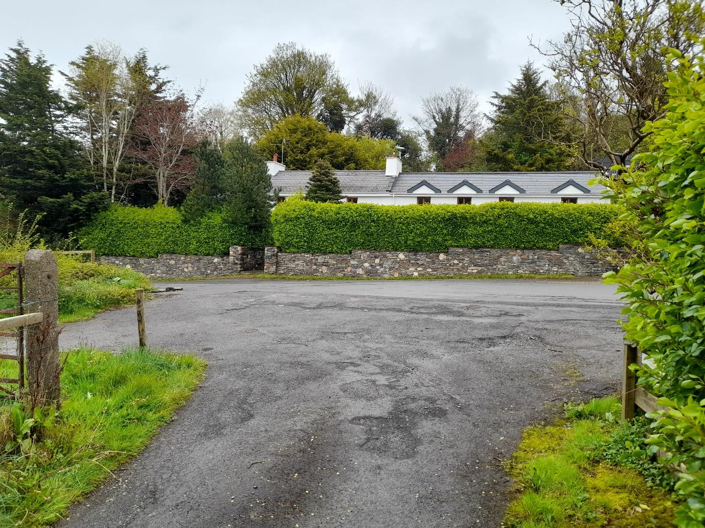 photograph from page 8