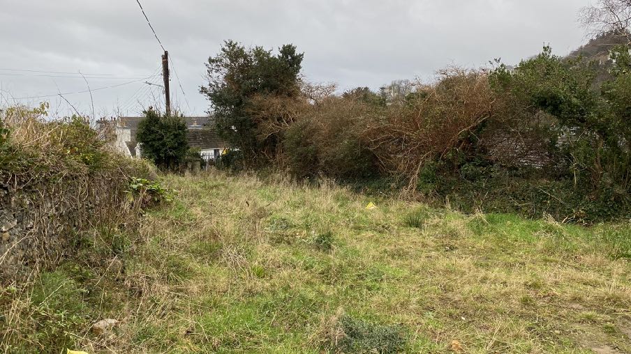 photograph from page 3