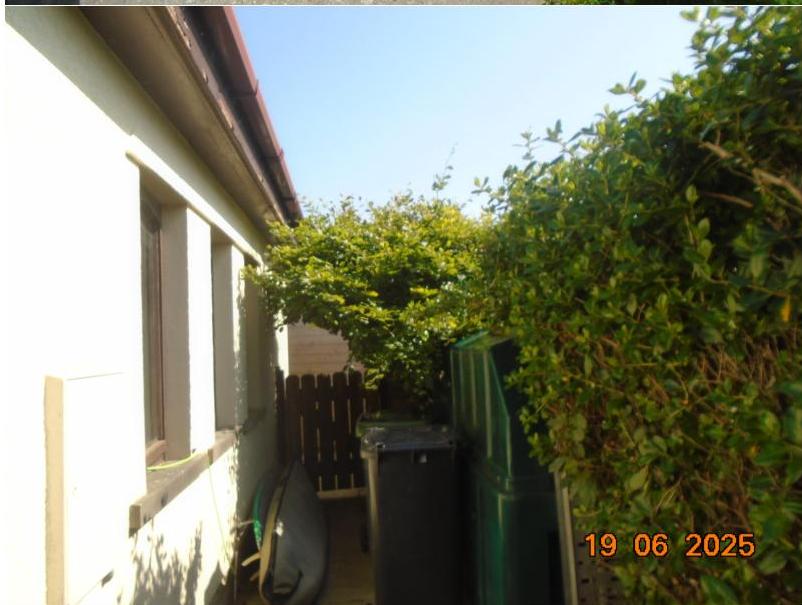 A ground-level photograph showing the side elevation of a white house with a window, bordered by a wooden fence and dense green hedges. Wheelie bins are stored in the narrow space alongside the building.