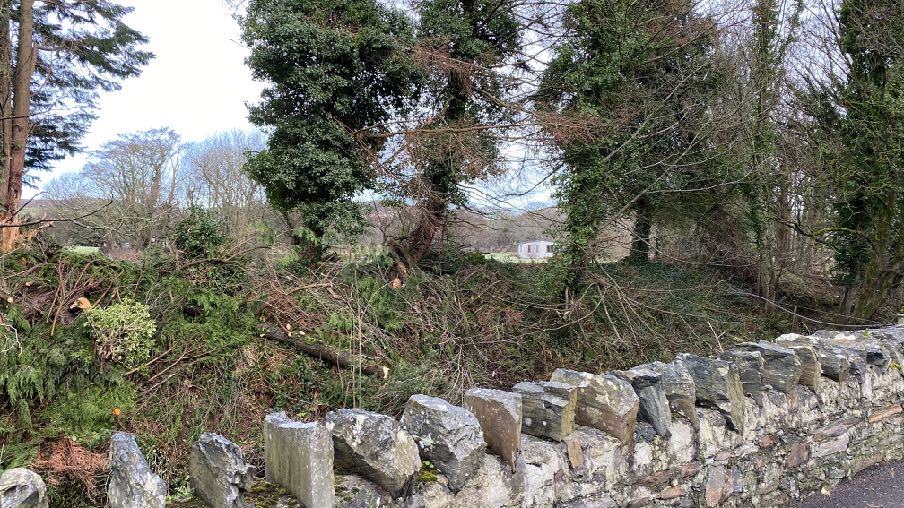 photograph from page 5