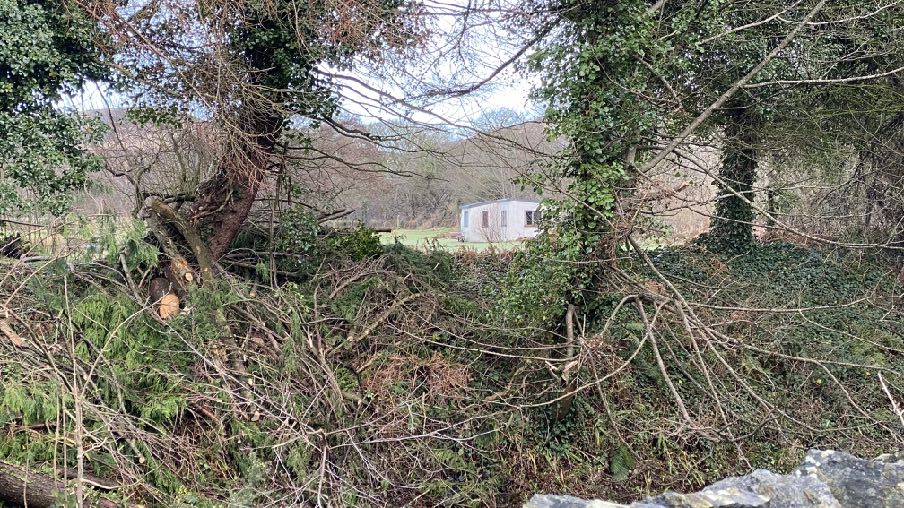 A photograph showing a white outbuilding or workshop visible through dense trees and overgrown vegetation in a rural setting.