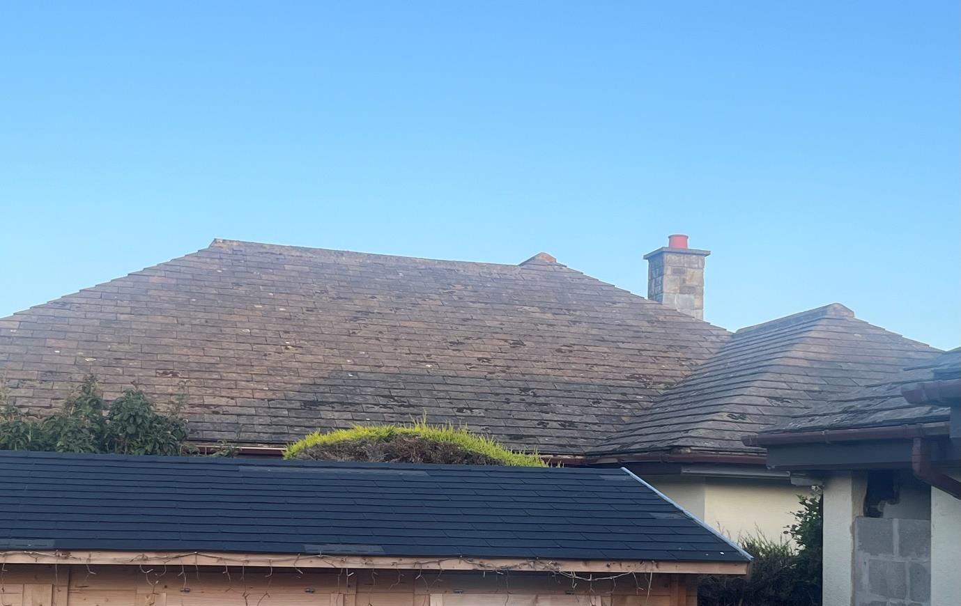 photograph from page 3