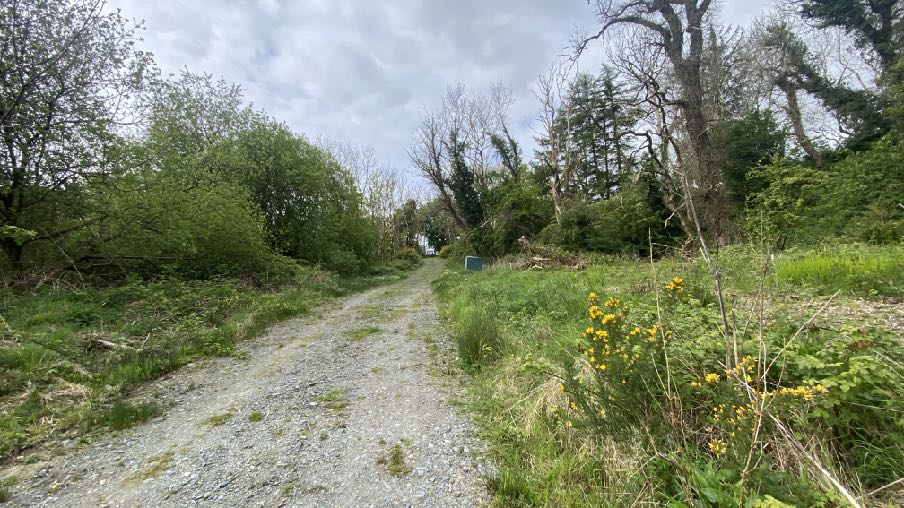 photograph from page 2