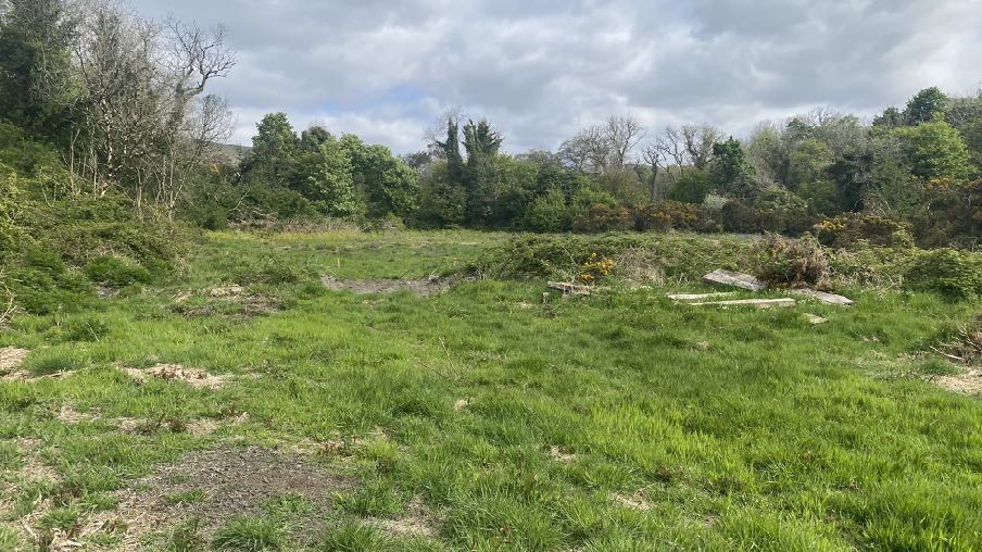 photograph from page 3