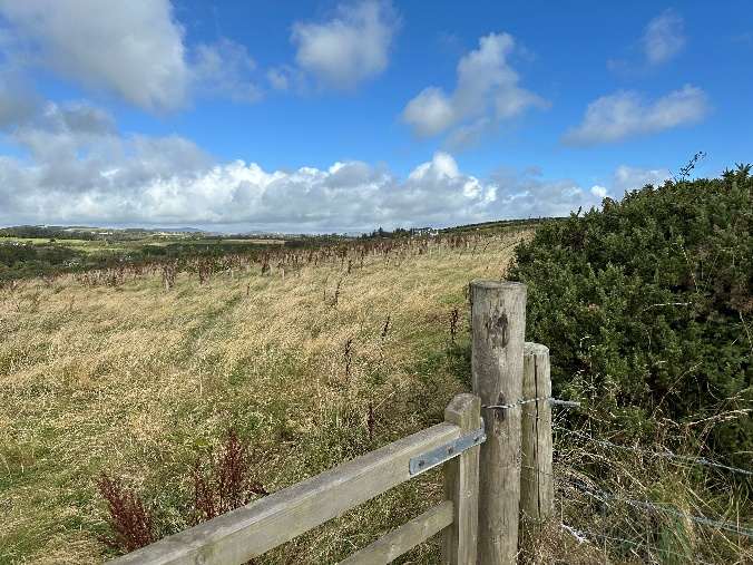 map or plan from page 8