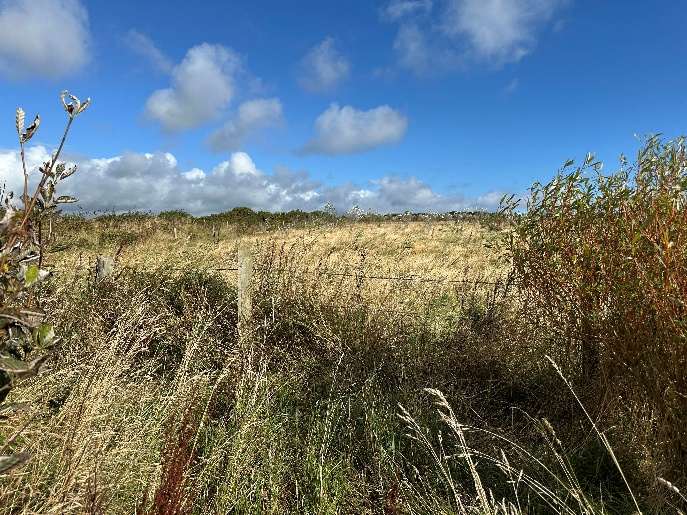 map or plan from page 8