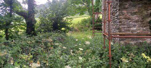 A photograph showing the exterior of a stone building with scaffolding, surrounded by overgrown vegetation and trees in a rural setting.