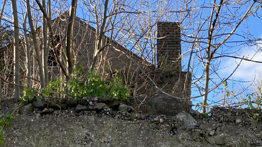 A photograph showing the rear elevation of an existing house partially obscured by bare trees and vegetation, with a brick chimney visible against a blue sky.