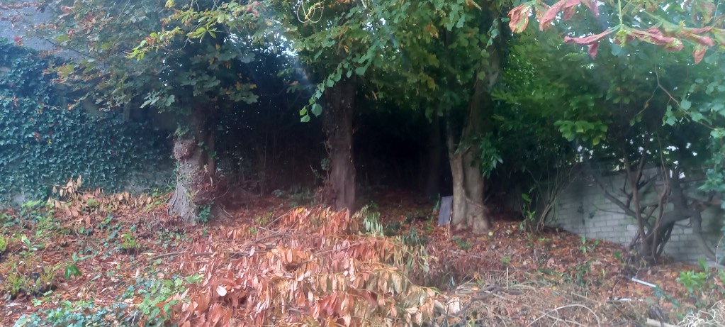 photograph from page 10