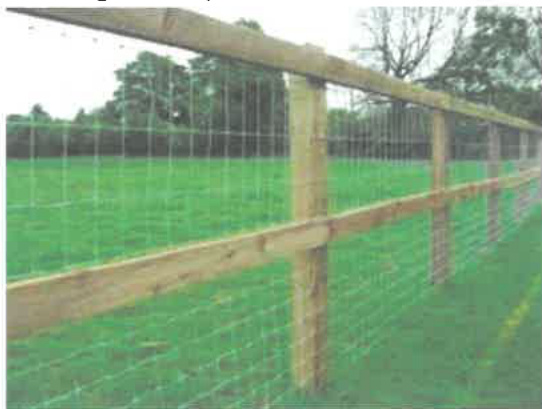 photograph from page 2